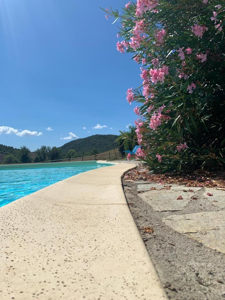 Agriturismo Alle Rose Volterra Eksteriør billede