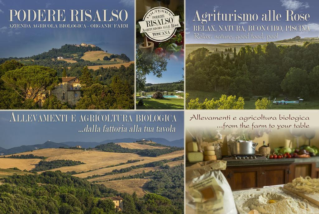 Agriturismo Alle Rose Volterra Eksteriør billede