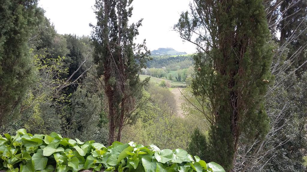 Agriturismo Alle Rose Volterra Eksteriør billede