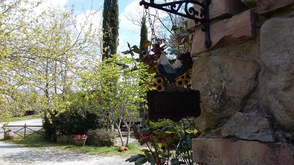 Agriturismo Alle Rose Volterra Eksteriør billede